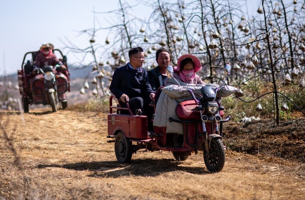 全國(guó)人大代表袁海波（右三）在云南省曲靖市馬龍區(qū)一種植基地了解務(wù)工人員就業(yè)需求（2023年2月11日攝）。新華社記者 江文耀 攝