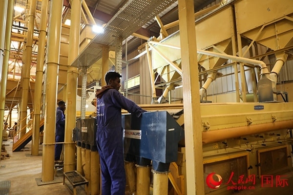 在Bule Hora咖啡加工廠里工作的當(dāng)?shù)毓と藗?。人民網(wǎng)記者 沈小曉攝