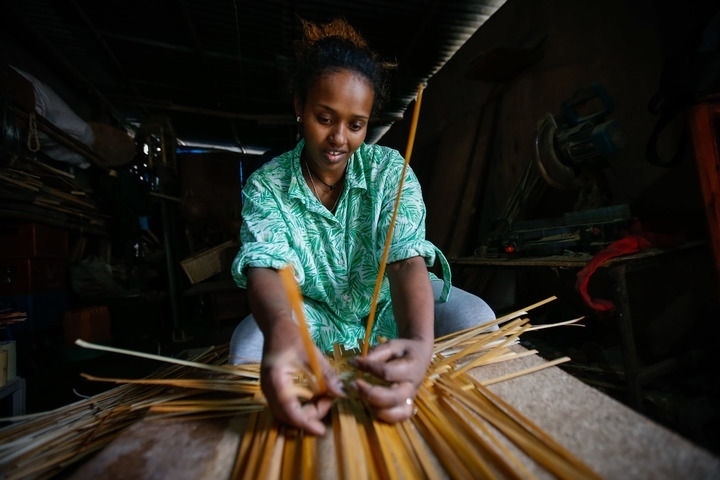 2024年8月10日，菲基爾特·加布雷在埃塞俄比亞首都亞的斯亞貝巴名為“綠色金子”的竹藤工作室里加工竹制產(chǎn)品。新華社發(fā)（邁克爾·特韋爾德 攝）
