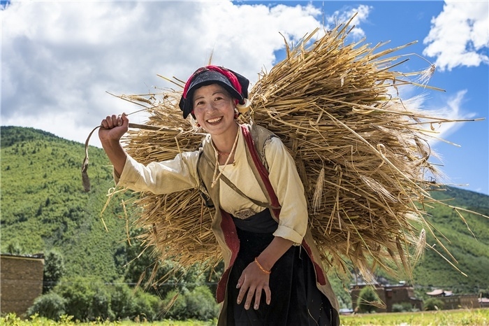 康定市甲根壩鎮(zhèn)青稞豐收，農(nóng)牧民臉上洋溢著豐收的喜悅。林革文攝