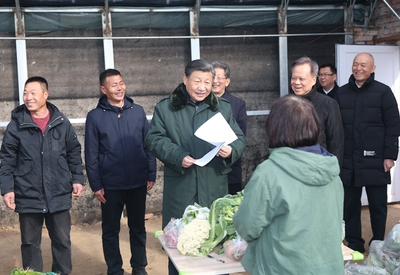 2024年2月1日，習(xí)近平總書(shū)記在天津市西青區(qū)辛口鎮(zhèn)第六埠村，走進(jìn)大棚同菜農(nóng)親切交流。
