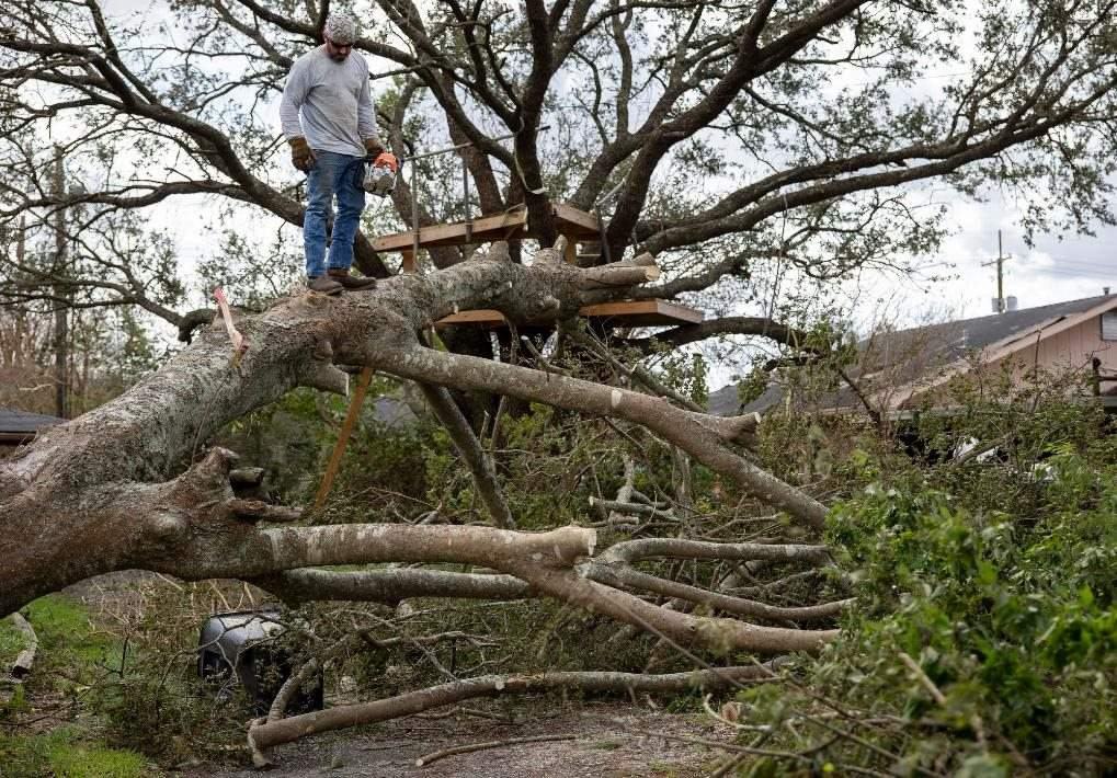 2021年8月30日，在美國路易斯安那州霍馬，一名男子站在被颶風(fēng)吹倒的大樹上。新華社發(fā)（尼克·瓦格納 攝）