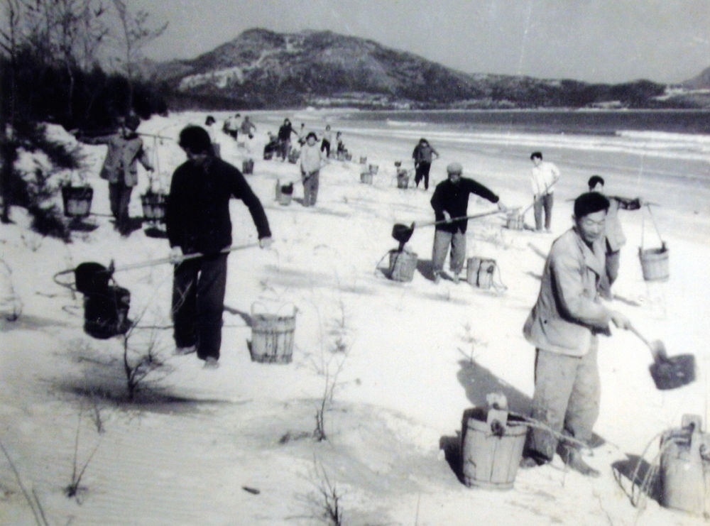 上世紀(jì)東山百姓在沙灘造林（資料照片）。