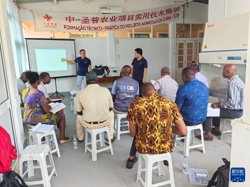 中國援圣普農(nóng)牧業(yè)技術(shù)項(xiàng)目組專家段振華（后左）在圣多美和普林西比的國家獸醫(yī)實(shí)驗(yàn)室開展動物疫病監(jiān)測技術(shù)培訓(xùn)（2024年6月21日攝）。新華社發(fā)（中國援圣普農(nóng)技組供圖）