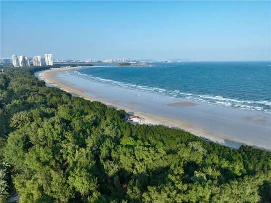 郁郁蔥蔥的東山縣沿海防護(hù)林（無(wú)人機(jī)拍攝）。新華社記者 姜克紅 攝