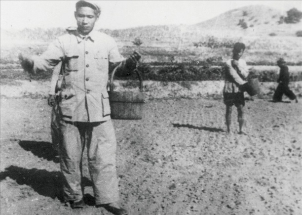 △ 谷文昌在福建省東山縣坑北村參加播種。