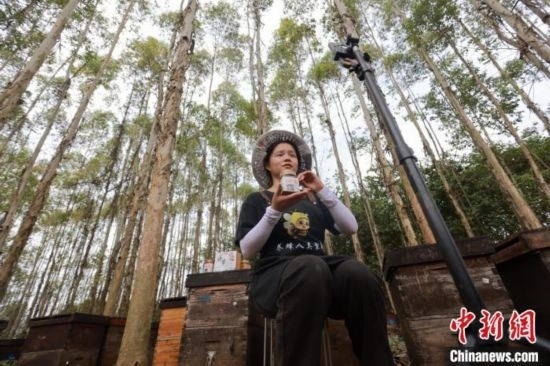 吳素英在網(wǎng)絡(luò)平臺直播介紹蜜蜂和養(yǎng)蜂情況。湯曉逵 攝