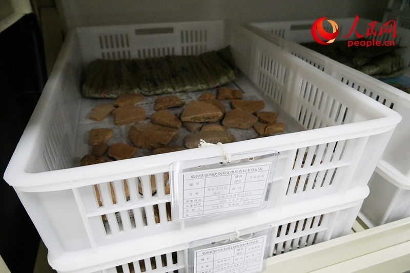 已經(jīng)整理完畢的文物標(biāo)本。人民網(wǎng)記者 韋衍行攝