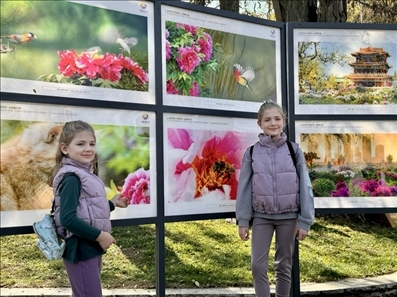 活動現(xiàn)場。中國駐保加利亞大使館供圖。