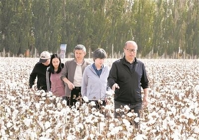李召虎團(tuán)隊(duì)成員在棉田了解試驗(yàn)情況。 受訪單位供圖