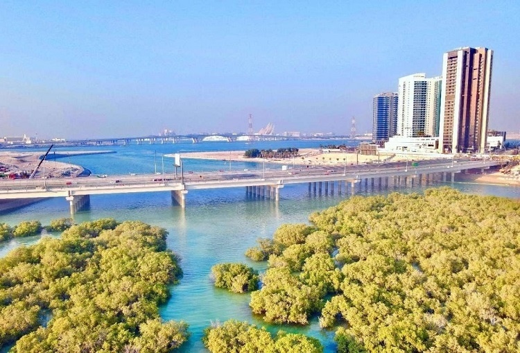 圖為瑞姆橋施工現(xiàn)場。中國土木供圖