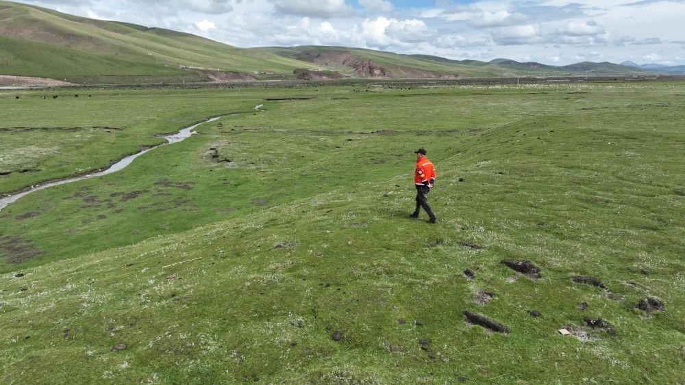 9月24日，生態(tài)管護(hù)員那瓦才郎在草場(chǎng)上巡護(hù)。（受訪(fǎng)者供圖）