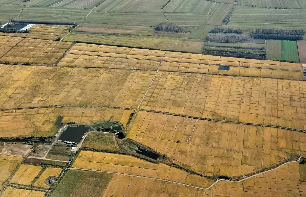 俯瞰黑龍江省哈爾濱市一處稻田（10月2日攝，無人機照片）。新華社記者 孫曉宇 攝