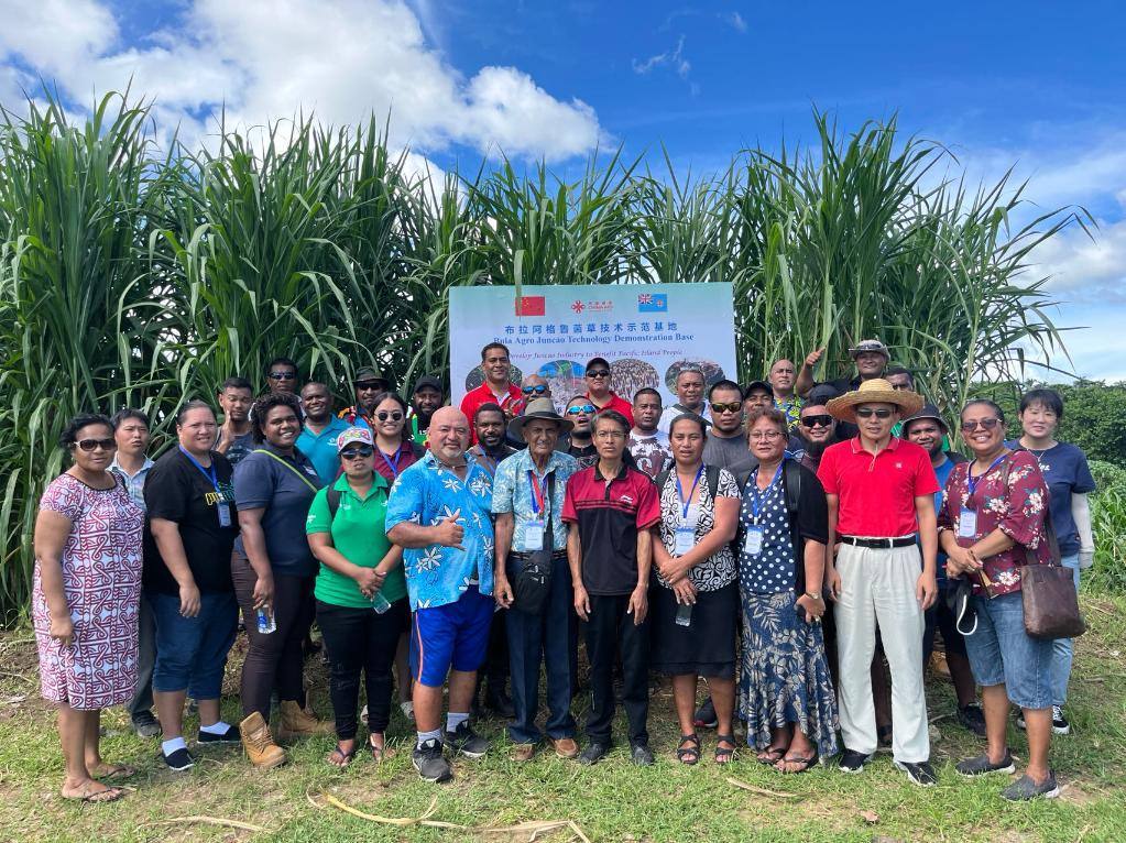 2024年2月28日，來(lái)自巴布亞新幾內(nèi)亞、湯加、庫(kù)克群島、薩摩亞、瑙魯?shù)葒?guó)家的“太平洋島國(guó)菌草技術(shù)培訓(xùn)班”學(xué)員在斐濟(jì)布拉阿格魯菌草技術(shù)示范基地合影。新華社發(fā)（中國(guó)援斐濟(jì)菌草技術(shù)示范中心供圖）