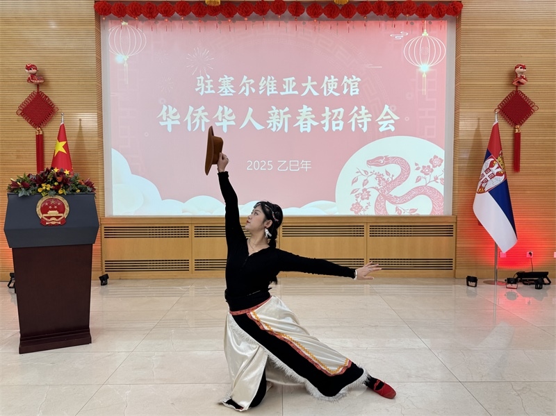 招待會現(xiàn)場表演。諾維薩德孔子學院供圖