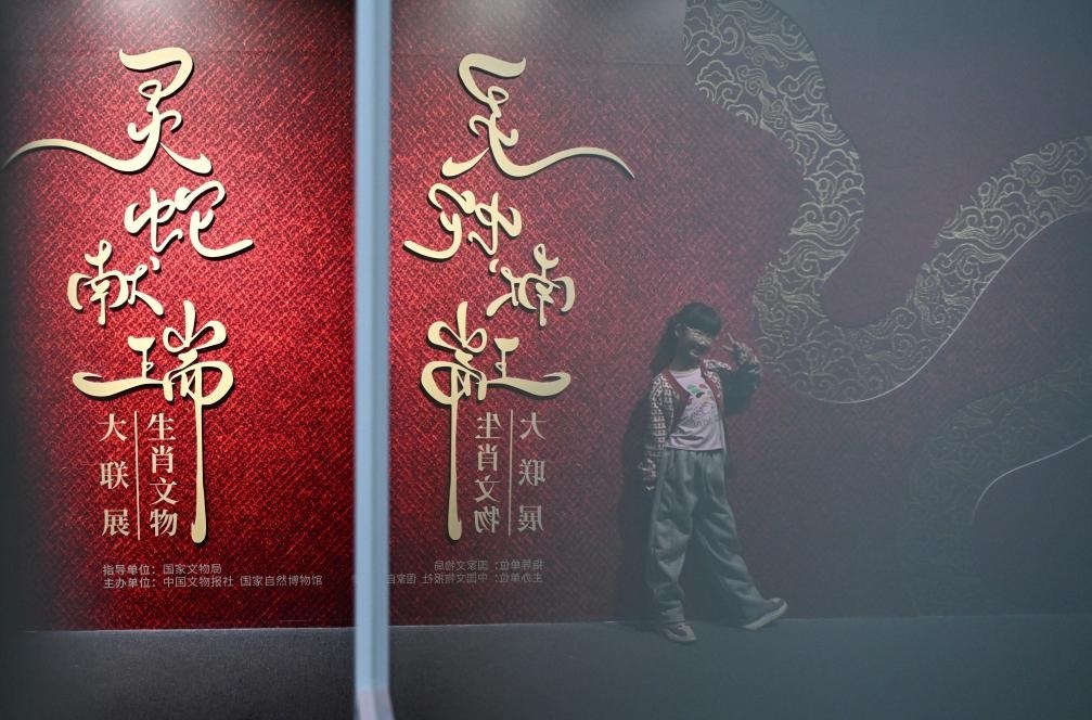 1月18日，一名小朋友在國家自然博物館舉辦的“靈蛇獻(xiàn)瑞——2025乙巳蛇年生肖文物大聯(lián)展”展覽中拍照留念。（新華社記者 陳鐘昊 攝）