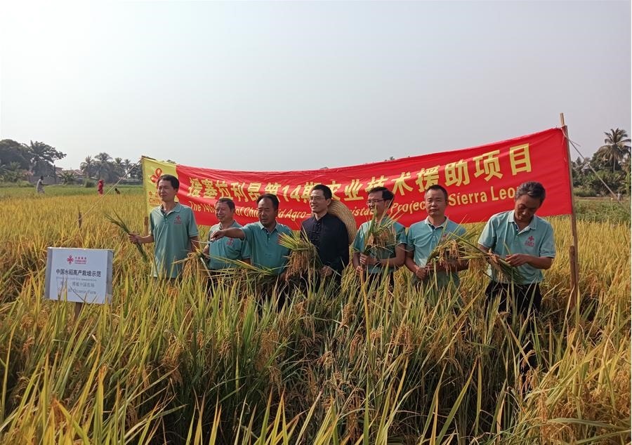 中國(guó)駐塞拉利昂大使王擎和援塞農(nóng)業(yè)專(zhuān)家組合影。中國(guó)援塞農(nóng)業(yè)專(zhuān)家組供圖