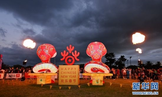 圖為游客在2025年奧克蘭元宵燈節(jié)游覽。（圖片由奧克蘭中國文化中心提供）