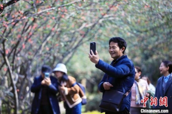 成都：海棠花開引游人