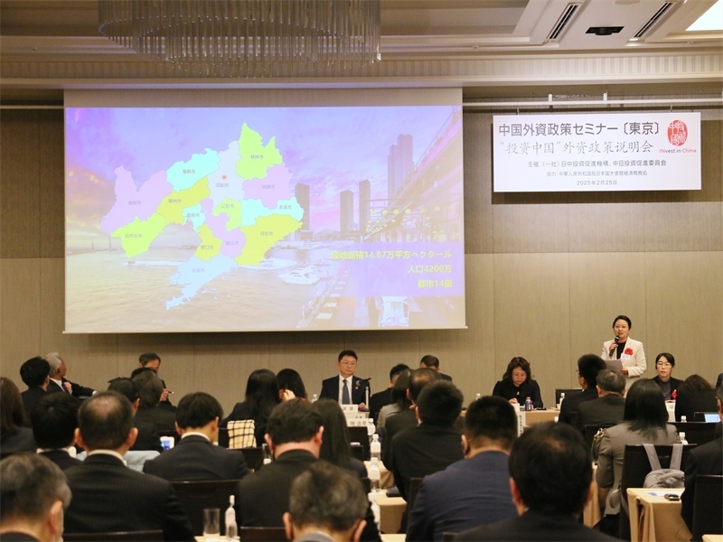 地方代表進(jìn)行專題投資推介。人民網(wǎng) 許可攝