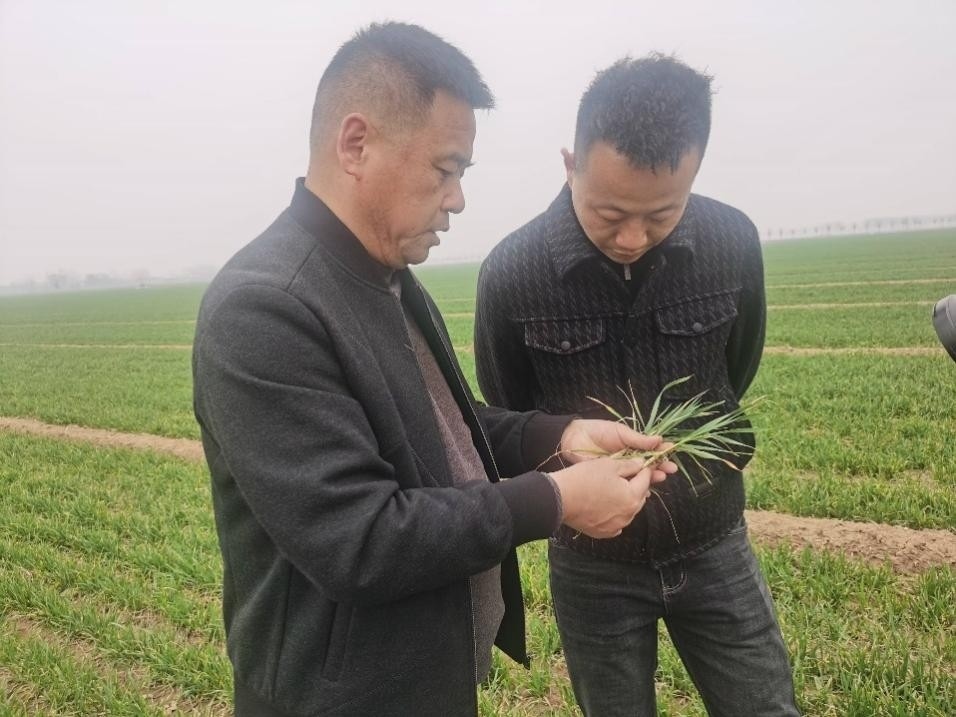 在山東濟(jì)寧汶上縣苑莊鎮(zhèn)，農(nóng)技員黃海龍對種糧大戶王振現(xiàn)場進(jìn)行春耕指導(dǎo)。人民網(wǎng)記者 車柯蒙攝