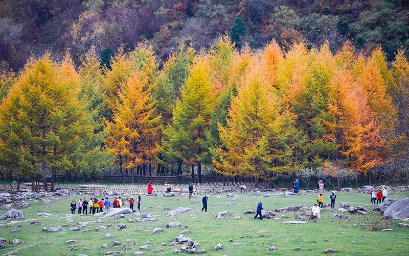 2023年10月27日，深秋時節(jié)的陜西秦嶺太子嶺五彩斑斕，進(jìn)入最佳觀賞期。