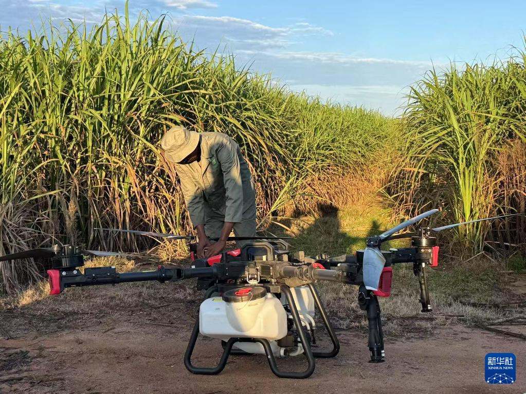 3月25日，在南非夸祖魯-納塔爾省的方廷希爾莊園，工作人員為無人機做起飛作業(yè)前的準(zhǔn)備。新華社記者 白舸 攝