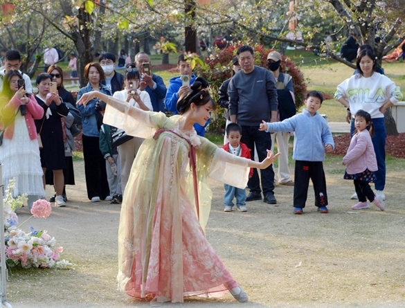 清明假期期間，上海顧村公園櫻花島上，游客在觀賞國風漢服快閃表演。（圖片來源：視覺中國）