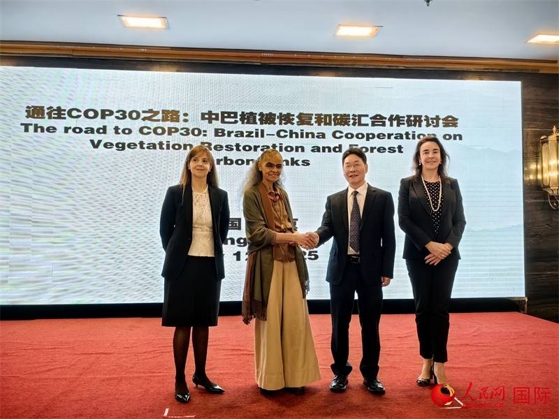 中國國家林業(yè)和草原局副局長李云卿（右二）、巴西環(huán)境和氣候變化部部長瑪麗娜·席爾瓦（左二）、巴西財(cái)政部副部長羅熙丹（右一）、巴西駐華大使館公參樂美（左一）出席“通往COP30之路：中巴植樹造林和碳匯合作研討活動(dòng)”。人民網(wǎng)記者 符園園攝