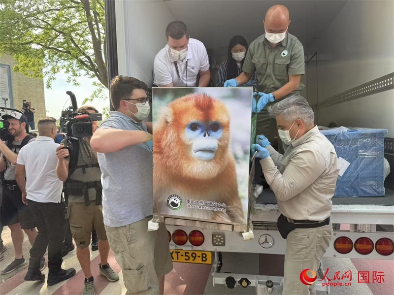 圖為活動現(xiàn)場。人民網(wǎng)記者 牛瑞飛攝