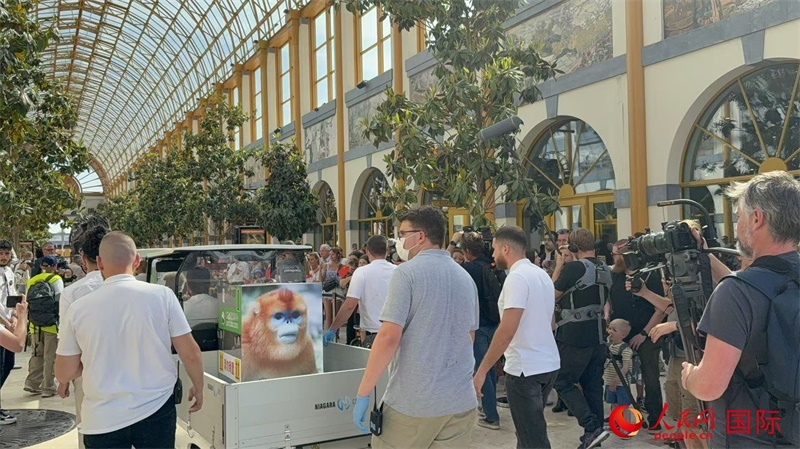 圖為活動現(xiàn)場。人民網(wǎng)記者 牛瑞飛攝