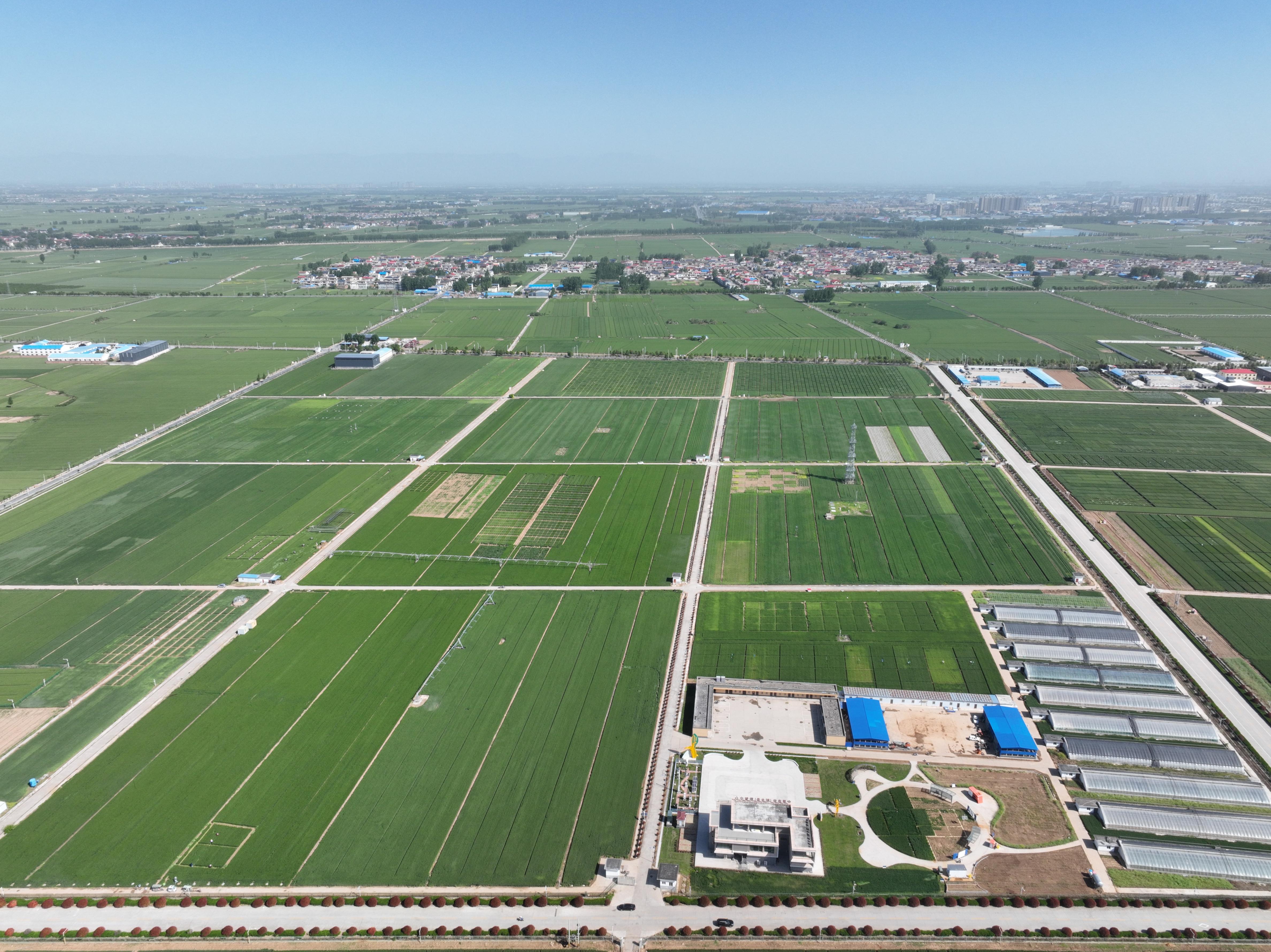 俯瞰水利部灌溉試驗總站試驗研究基地。受訪者供圖