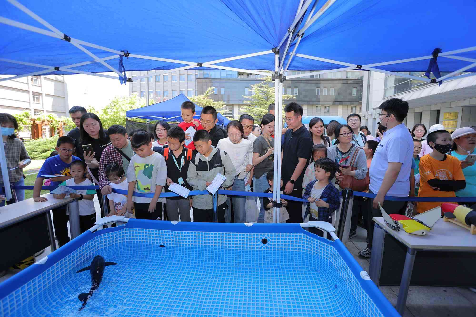 水下仿生機(jī)器魚(yú)在活動(dòng)現(xiàn)場(chǎng)大受歡迎。中國(guó)科學(xué)院自動(dòng)化研究所供圖