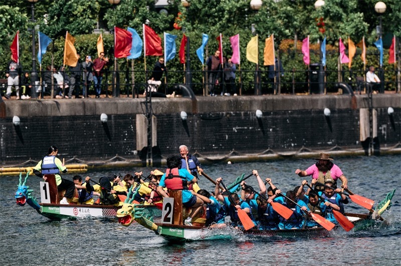 中英雙方的參賽隊(duì)伍參與龍舟競(jìng)渡。楊浩鵬攝